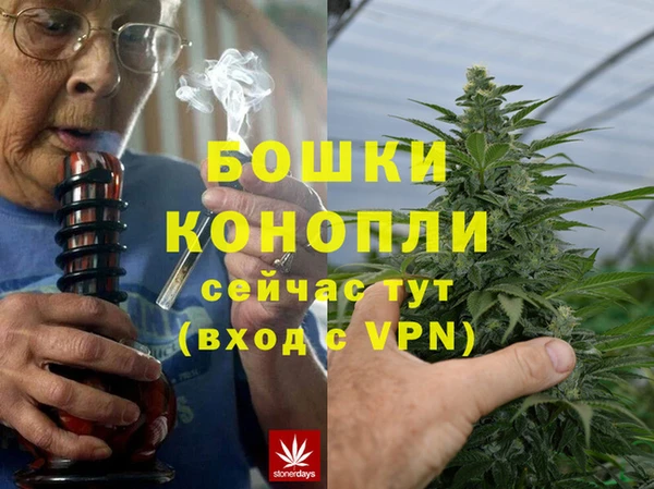 прущий лед Богданович