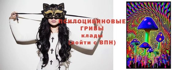 гидропоника Богородицк