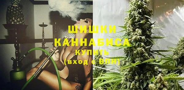 прущий лед Богданович