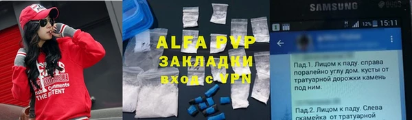 прущий лед Богданович