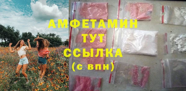 прущий лед Богданович
