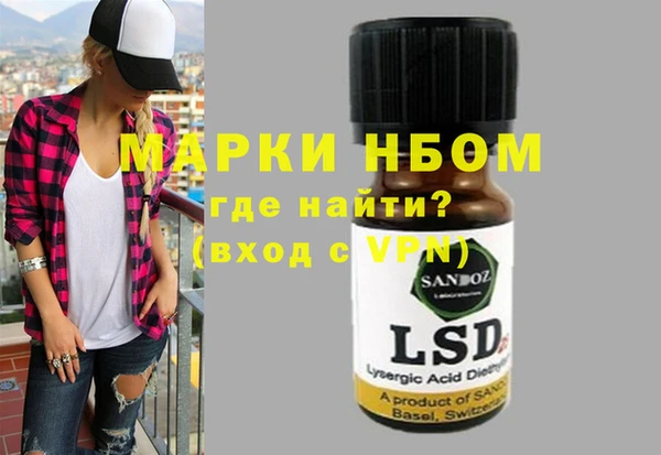 ECSTASY Бородино