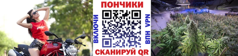 цена наркотик  Саратов  МАРИХУАНА Amnesia 